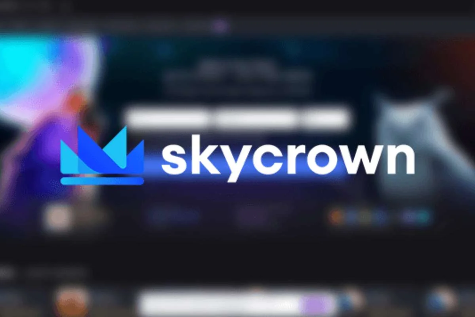 User Interface Of Sky Crown Casino Online Portal